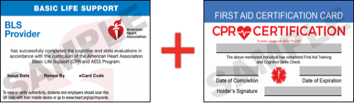 Sample American Heart Association AHA BLS CPR Card Certificaiton and First Aid Certification Card from CPR Certification St. Petersburg