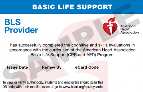 Sample American Heart Association AHA BLS CPR Card Certification from CPR Certification St. Petersburg