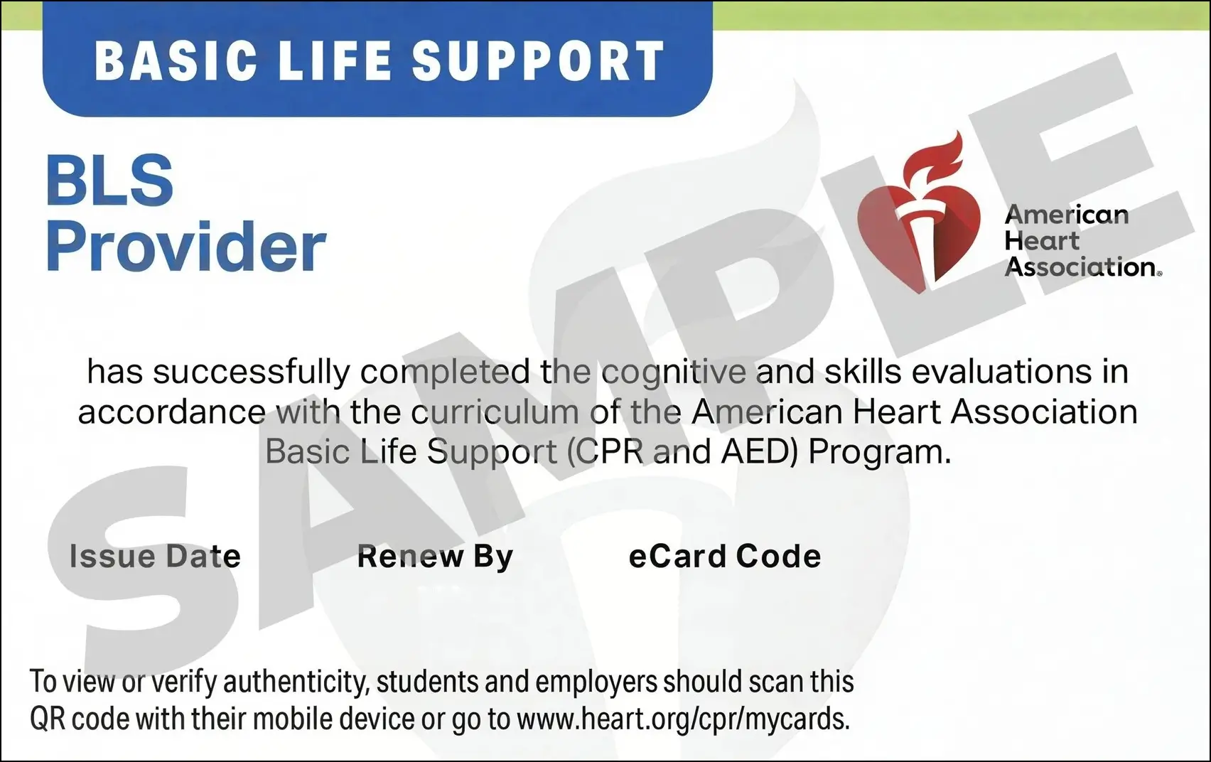 Sample American Heart Association AHA BLS CPR Card Certification from CPR Certification St. Petersburg